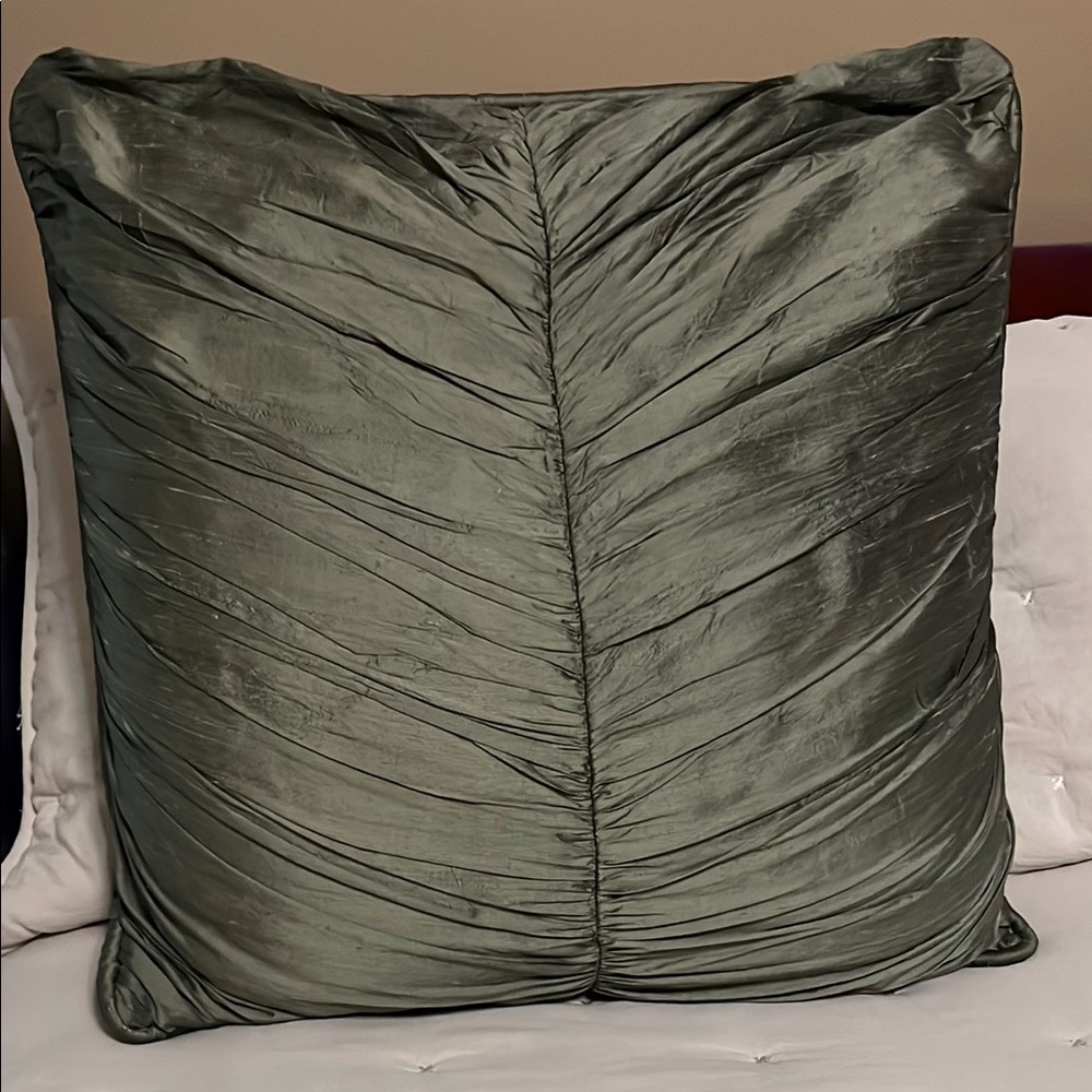 Soft Surroundings Eiuro Sham/ Large Pillow ~ Decorative~ in Soft Green